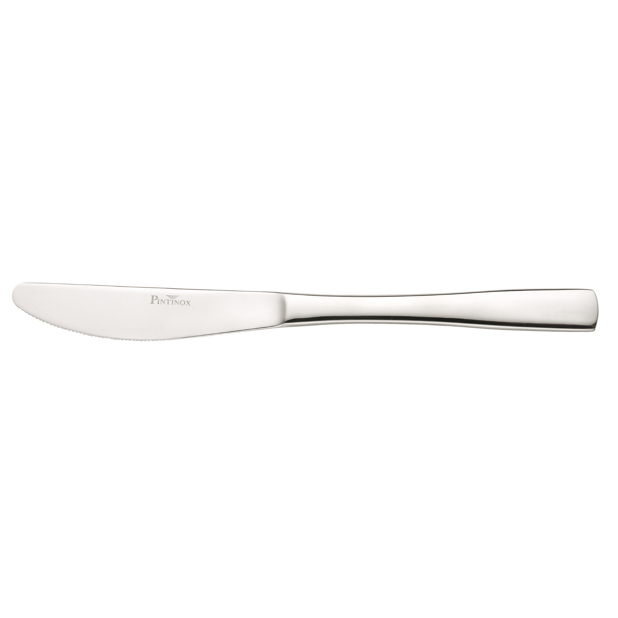 PINTINOX Gamma set 6 table knives - stainless steel "only available by set"