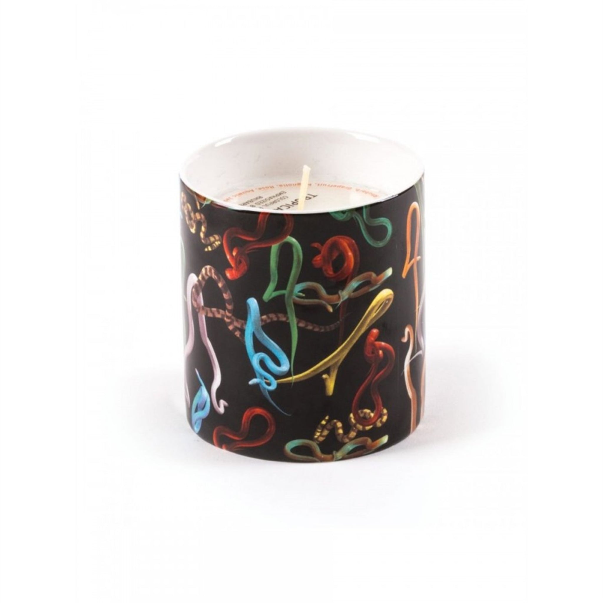 CANDLE IN JAR OF PORCELAIN "TP-SNAKES" - ESSENCE TROPICAL HAZE